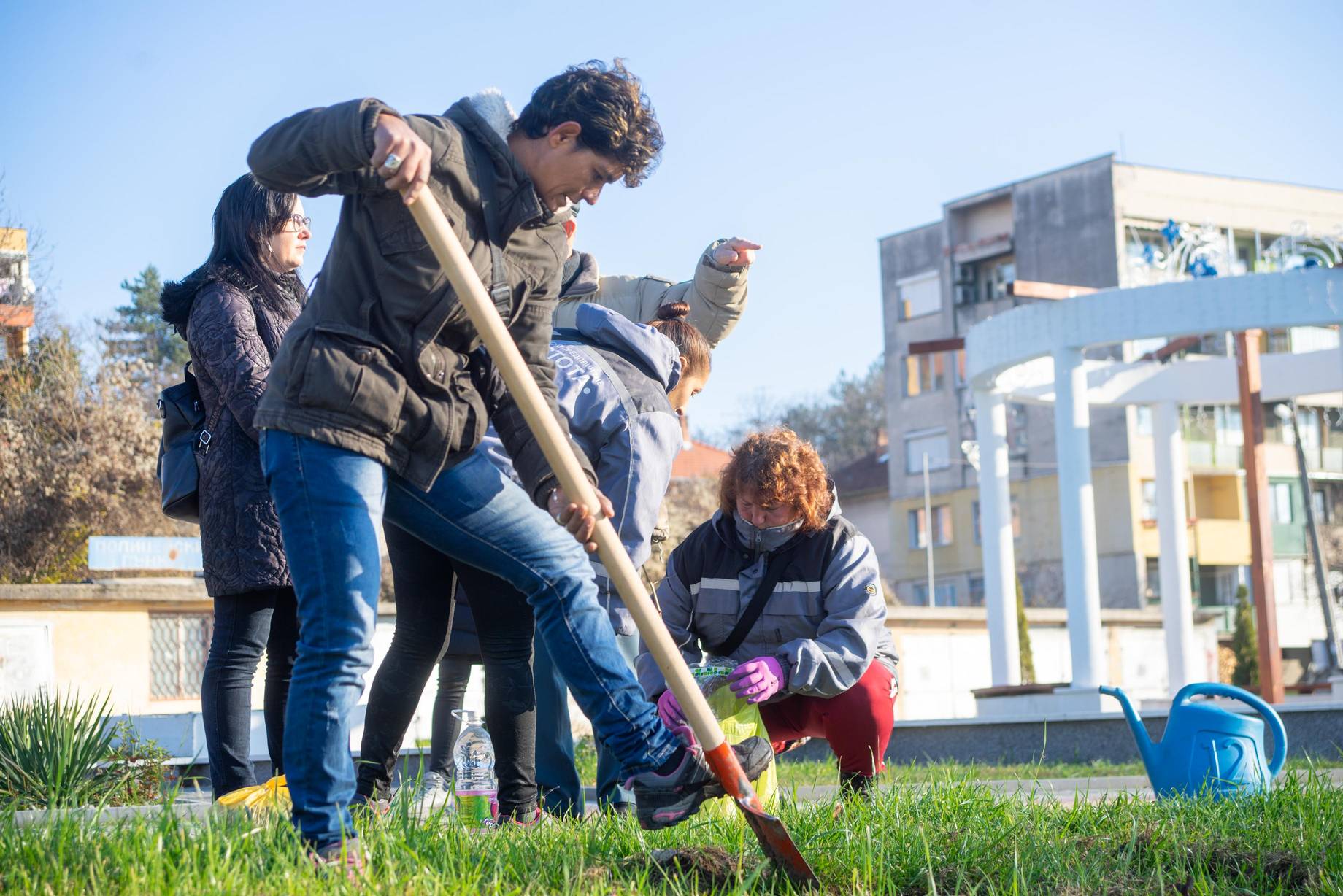 Засаждане на дървета